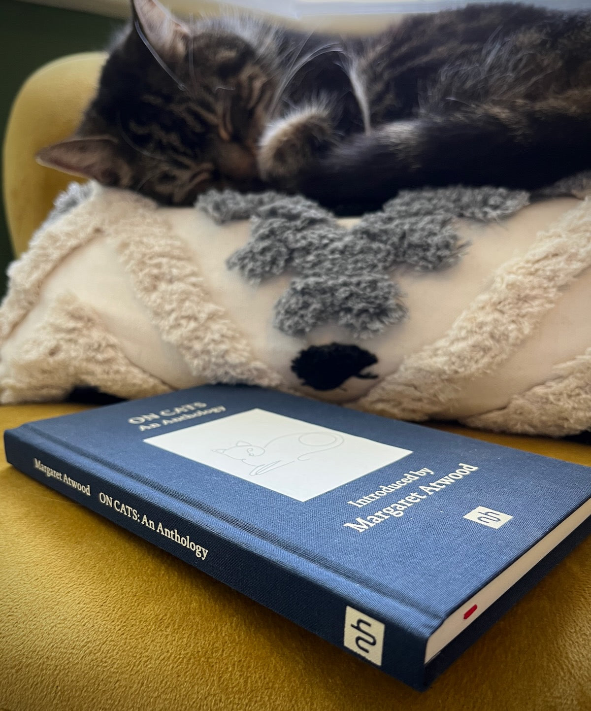 On Cats: An Anthology