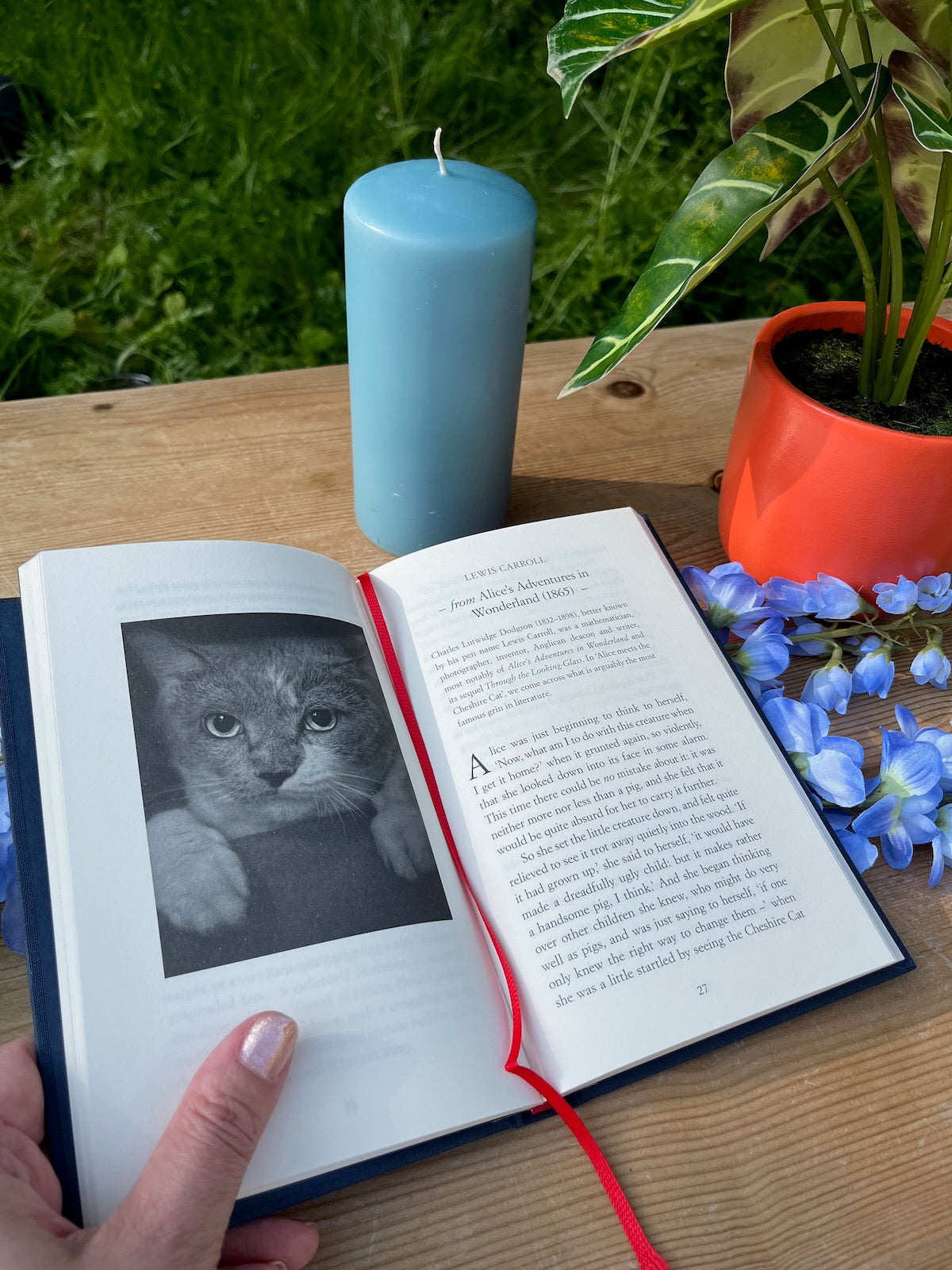 On Cats: An Anthology