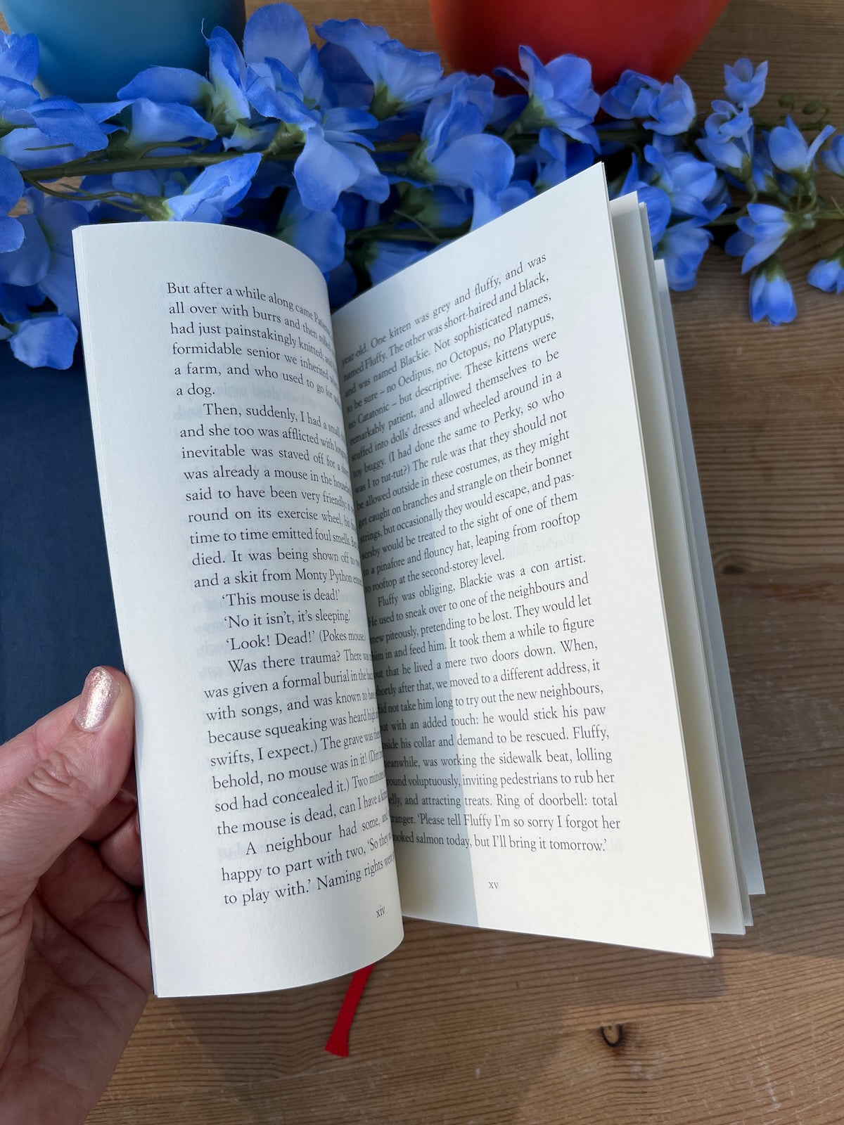 On Cats: An Anthology