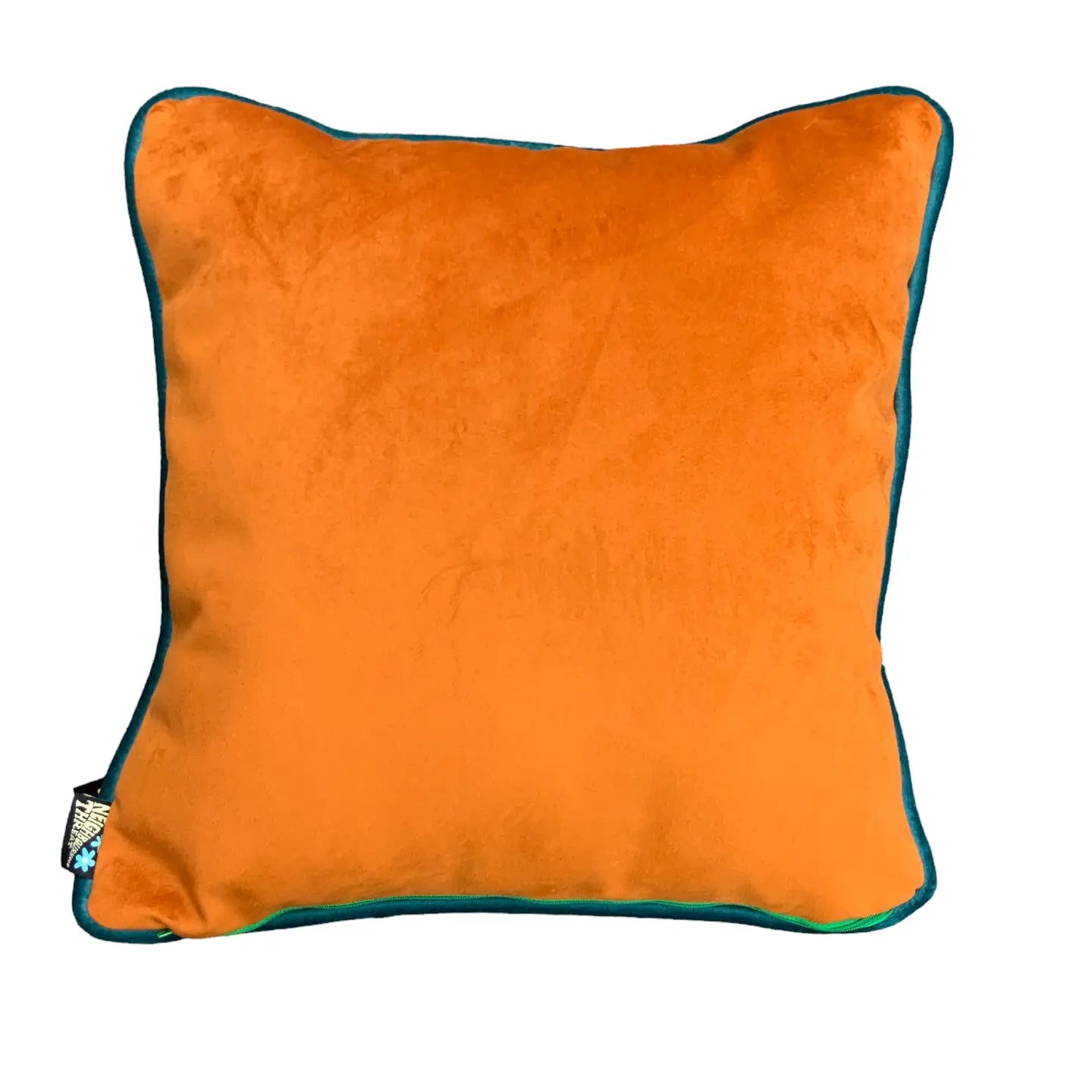 Neighbourhood Threat - Andy The Cat Cushion Cover