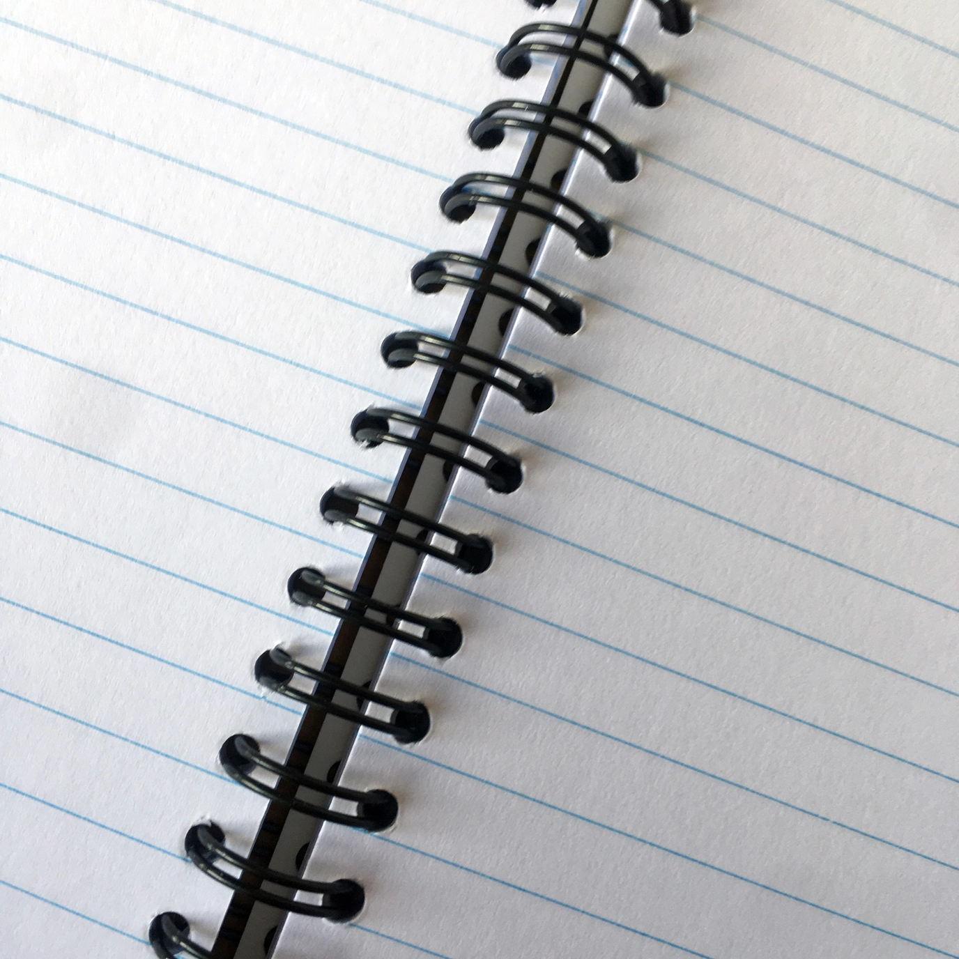 Rosie Wonders A5 Cat Notebook (spiral bound)