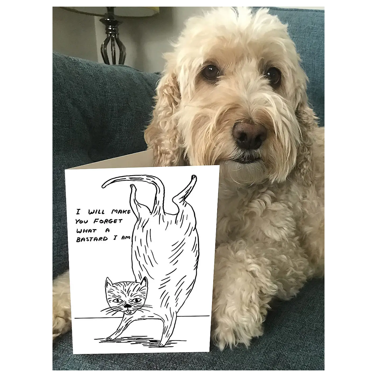 David Shrigley - Bastard Cat Card