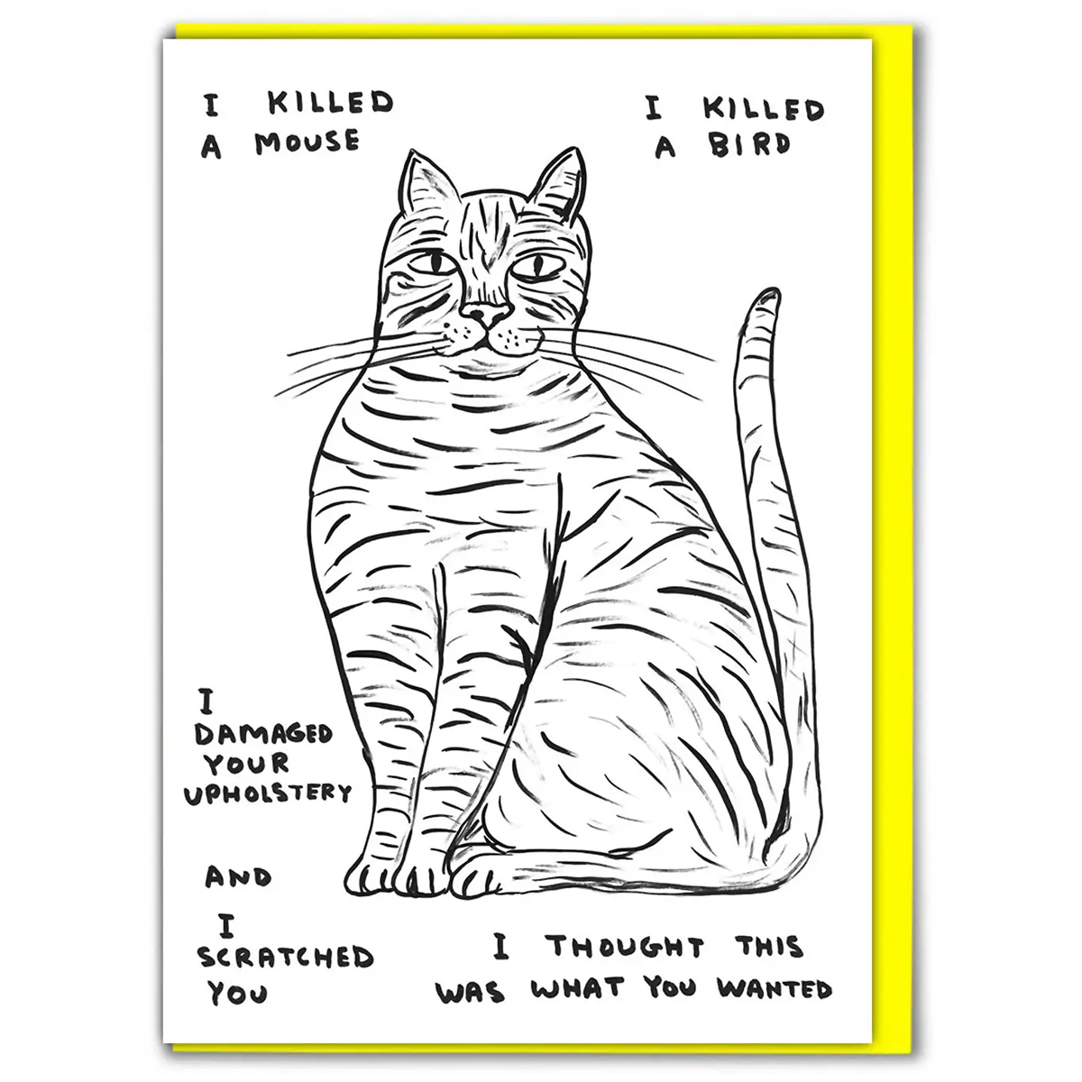 David Shrigley - I Killed A Mouse Card