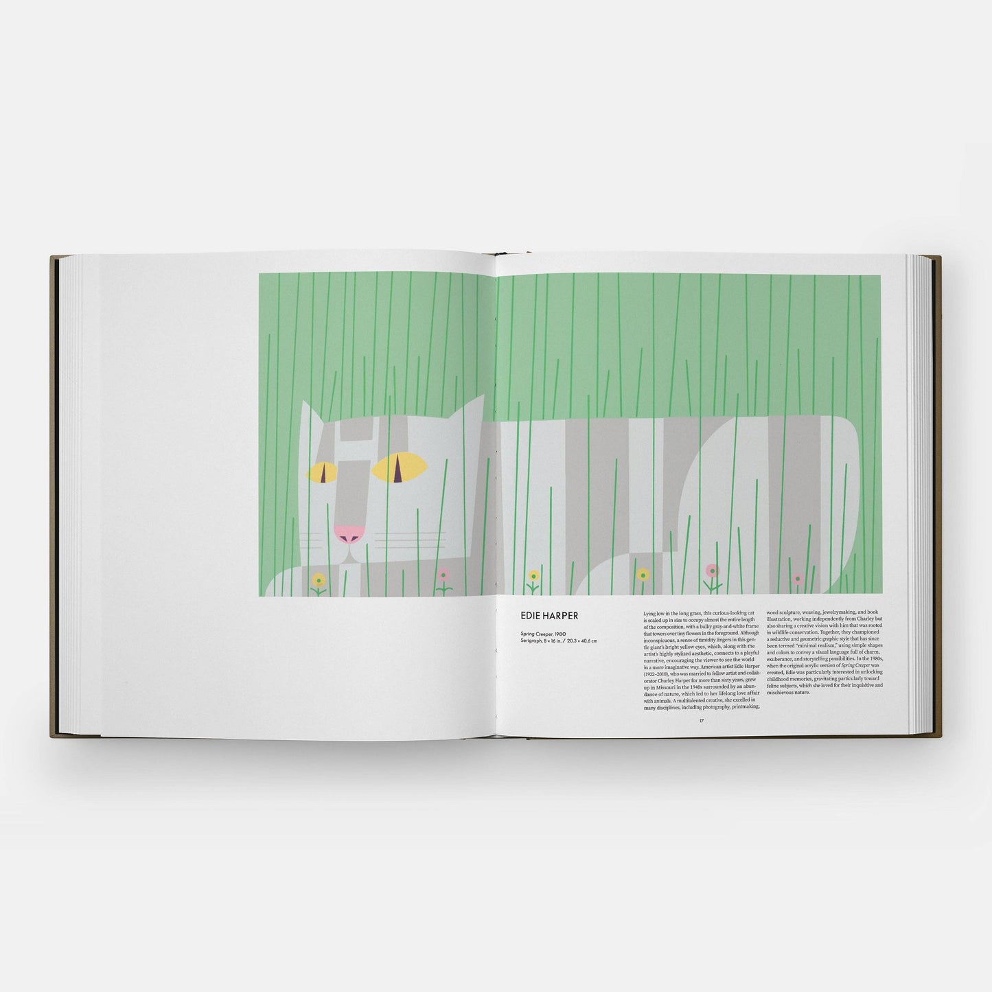 Cat - Hardback Book By Phaidon