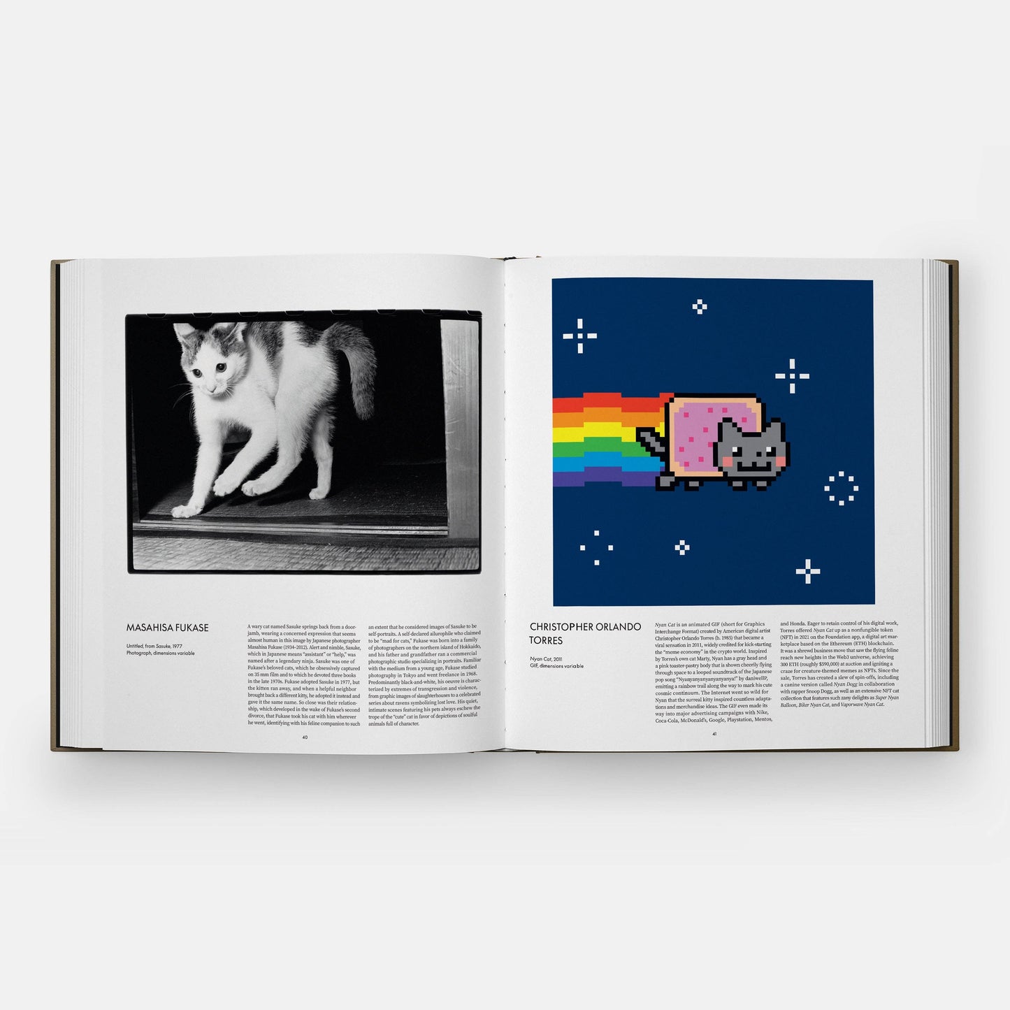 Cat - Hardback Book By Phaidon