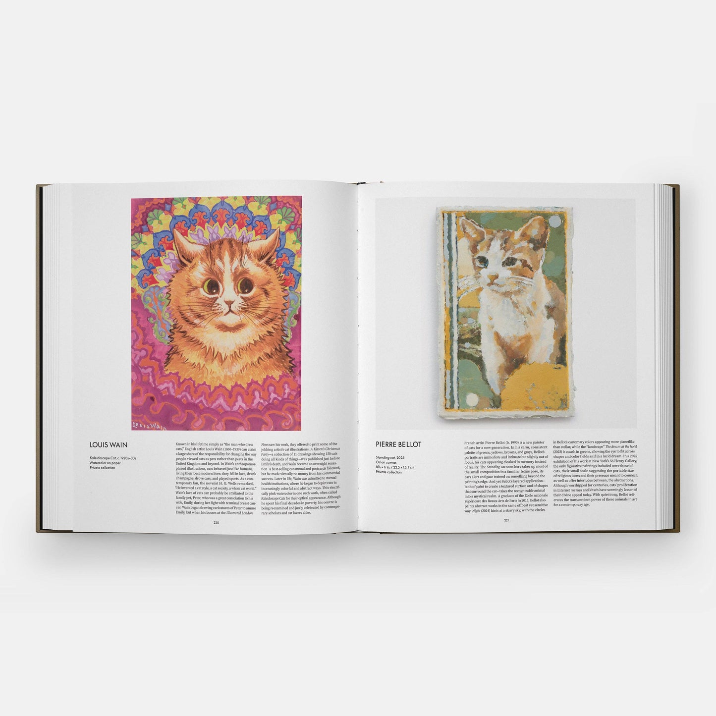 Cat - Hardback Book By Phaidon