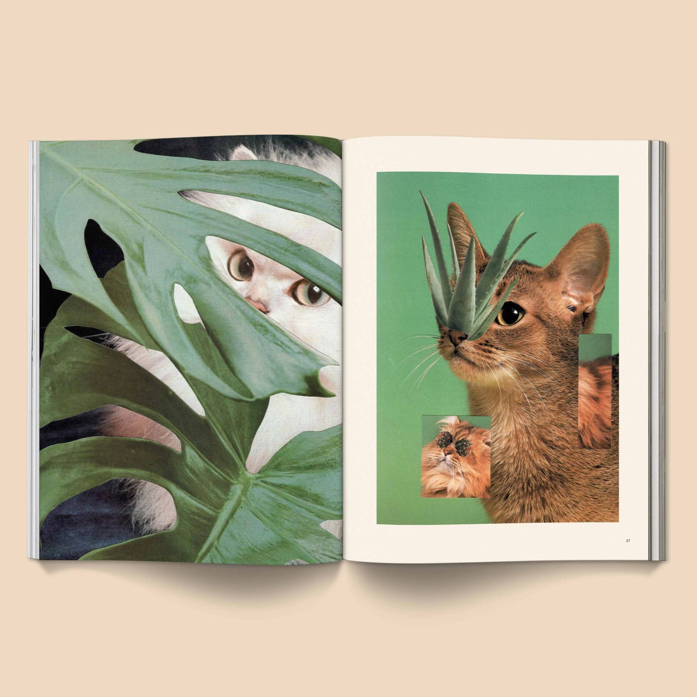 CATNIP - A Magazine for Cat People Vol 1