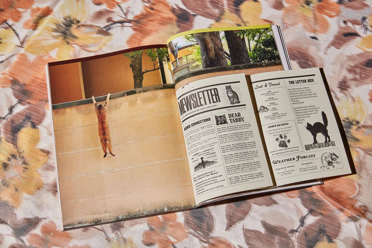 CATNIP - A Magazine for Cat People Vol 1