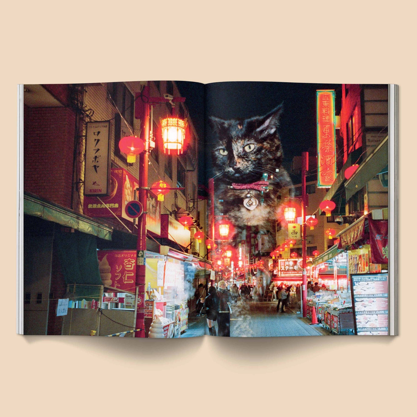 CATNIP - A Magazine for Cat People Vol 1