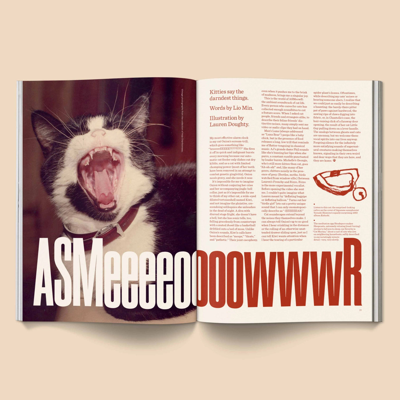 CATNIP - A Magazine for Cat People Vol 1