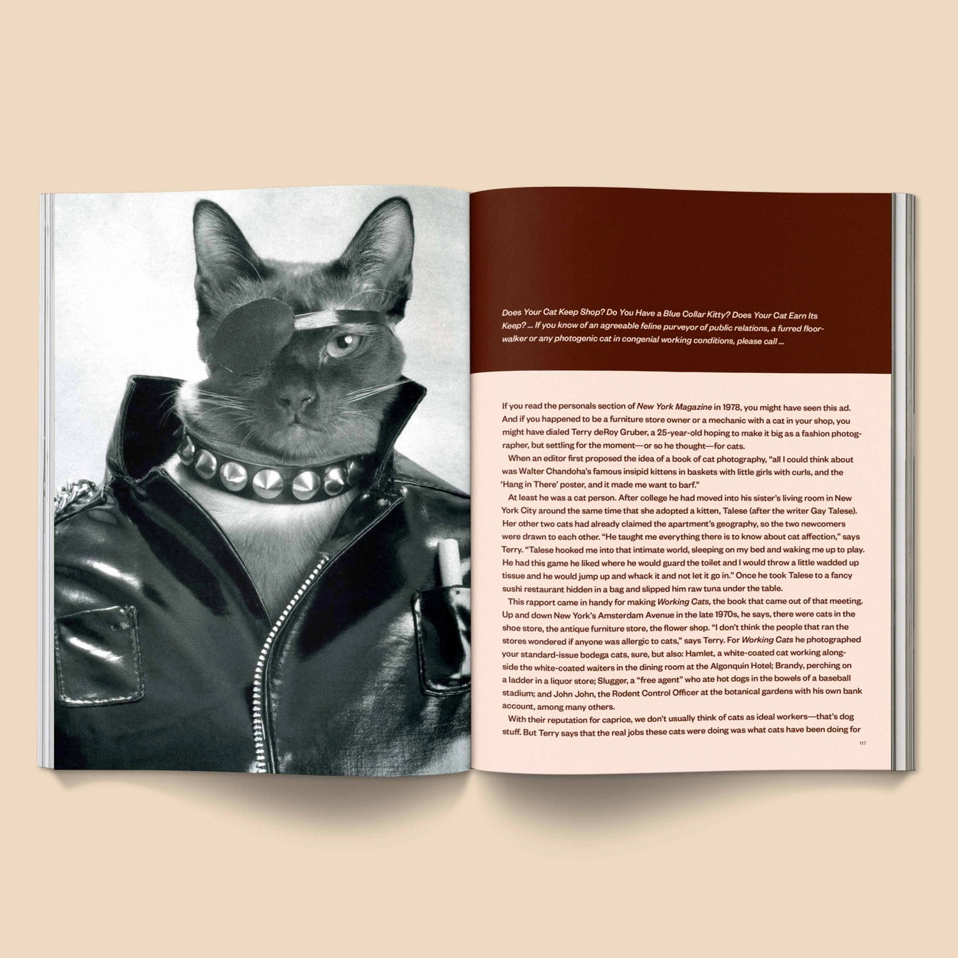 CATNIP - A Magazine for Cat People Vol 1