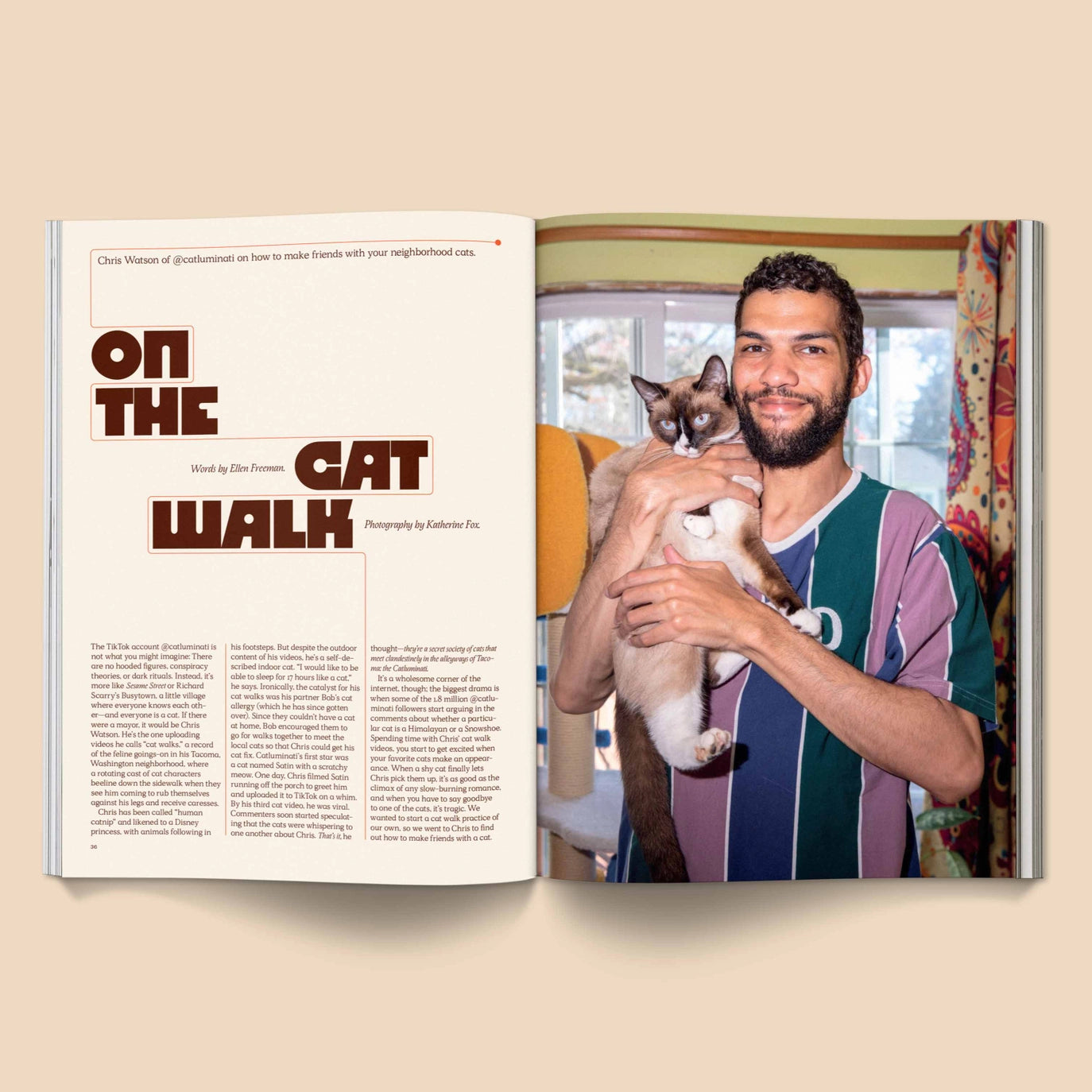 CATNIP - A Magazine for Cat People Vol 1
