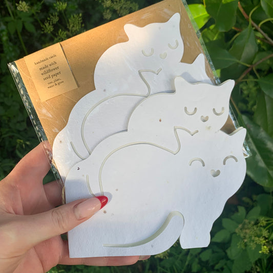 Marianne Maisy - Wildflower Seed Cat Card
